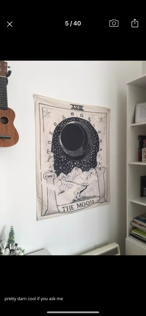 The Moon Tapestry